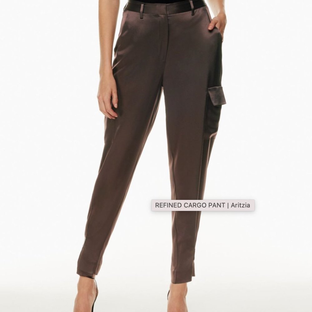 Aritzia Babaton refined cargo pants
